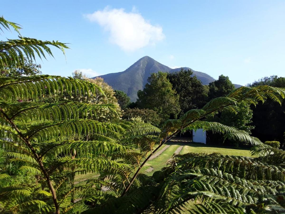 Nadine'S Self - Catering Accommodation Stormsrivier Exterior foto